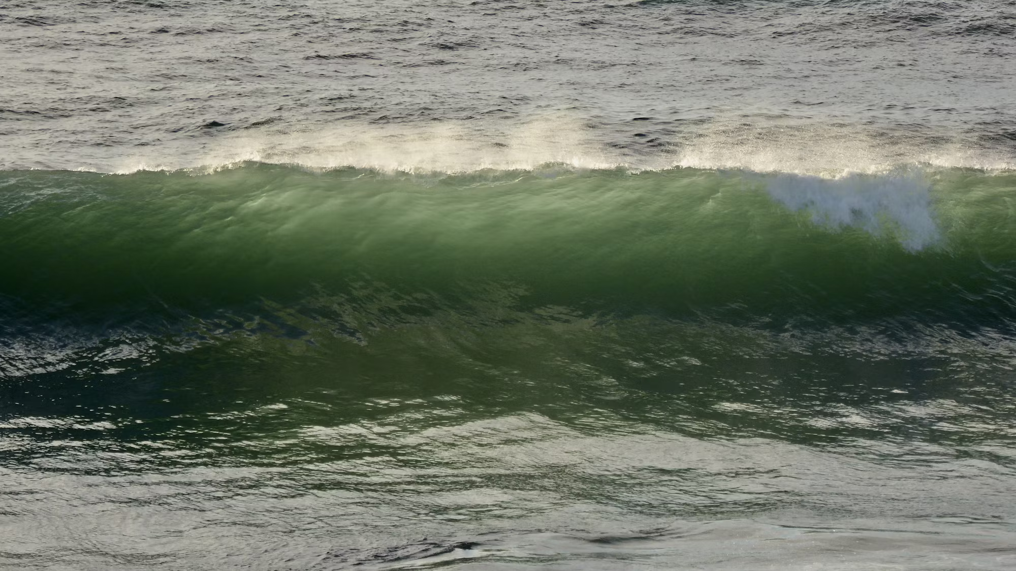 Exploring the Waves: A Comprehensive Guide to Surfing Styles